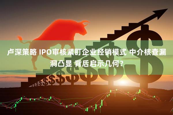 卢深策略 IPO审核紧盯企业经销模式 中介核查漏洞凸显 背后启示几何？