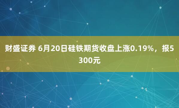 财盛证券 6月20日硅铁期货收盘上涨0.19%，报5300元