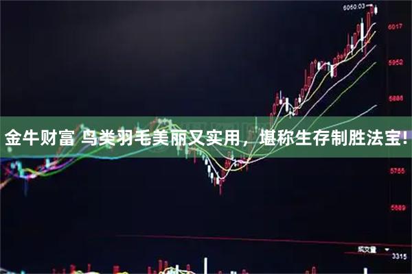 金牛财富 鸟类羽毛美丽又实用，堪称生存制胜法宝!
